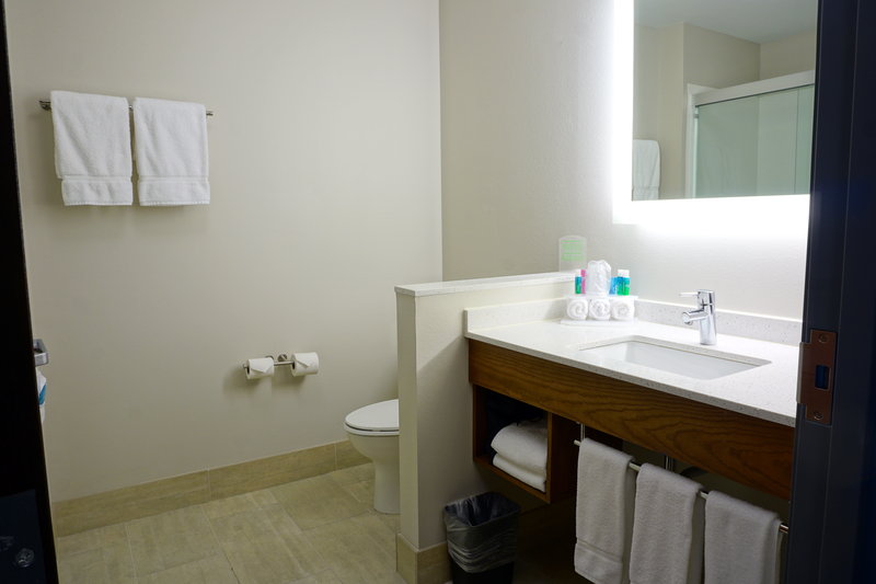 Holiday Inn Express and Suites Omaha West – I Street