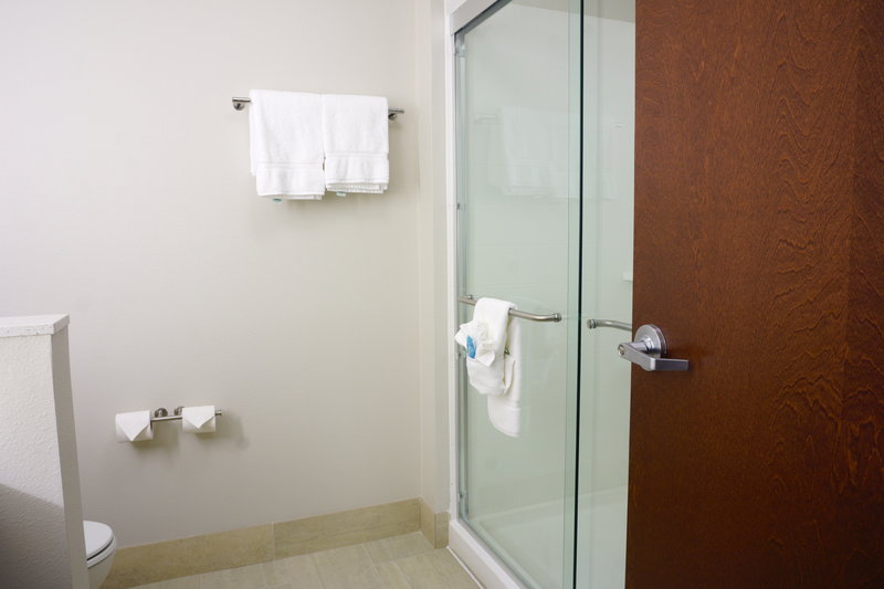 Holiday Inn Express and Suites Omaha West – I Street