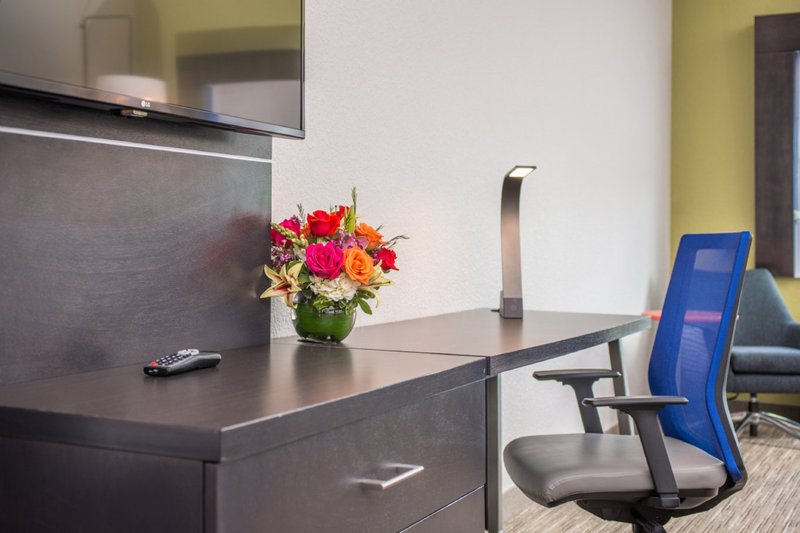 Holiday Inn Express and Suites Tampa North – Wesley Chapel