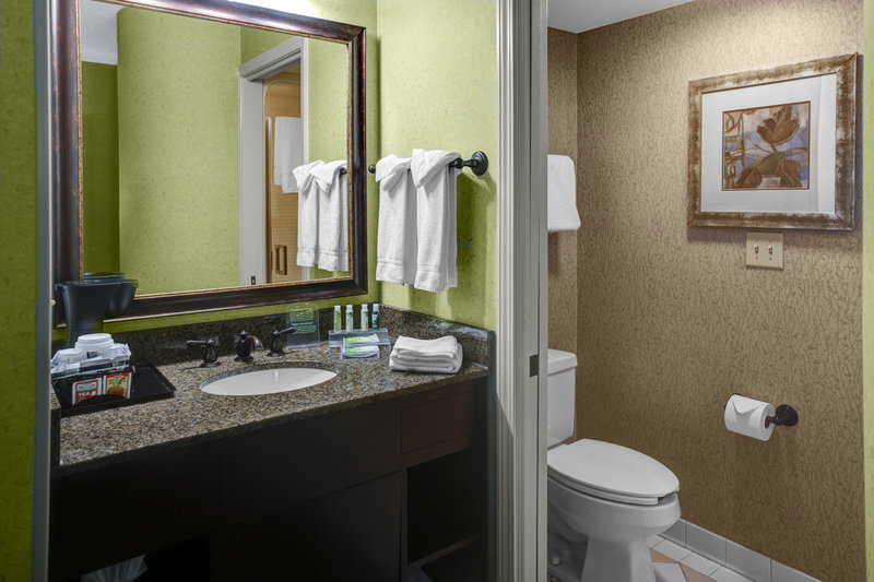 Holiday Inn Express and Suites Atlanta Buckhead