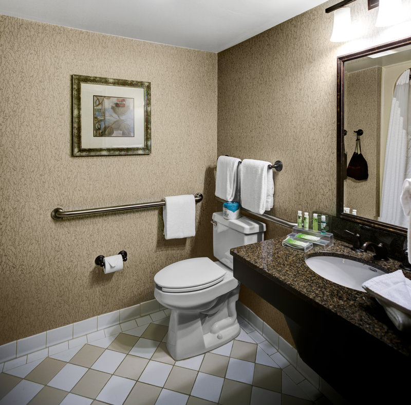 Holiday Inn Express and Suites Atlanta Buckhead