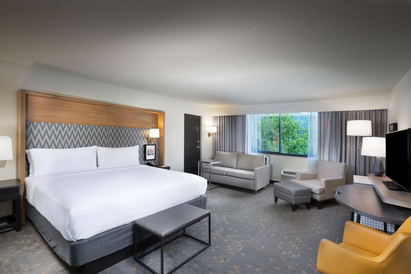 HOLIDAY INN BILTMORE EAST
