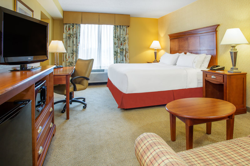 HOLIDAY INN EX STE BLOOMINGTON