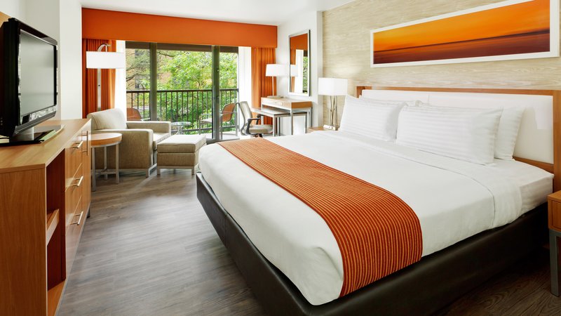 HOLIDAY INN SAN ANTONIO RIVERWALK