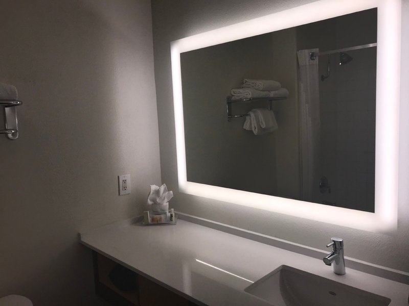 HOLIDAY INN SELMA SWAN COURT