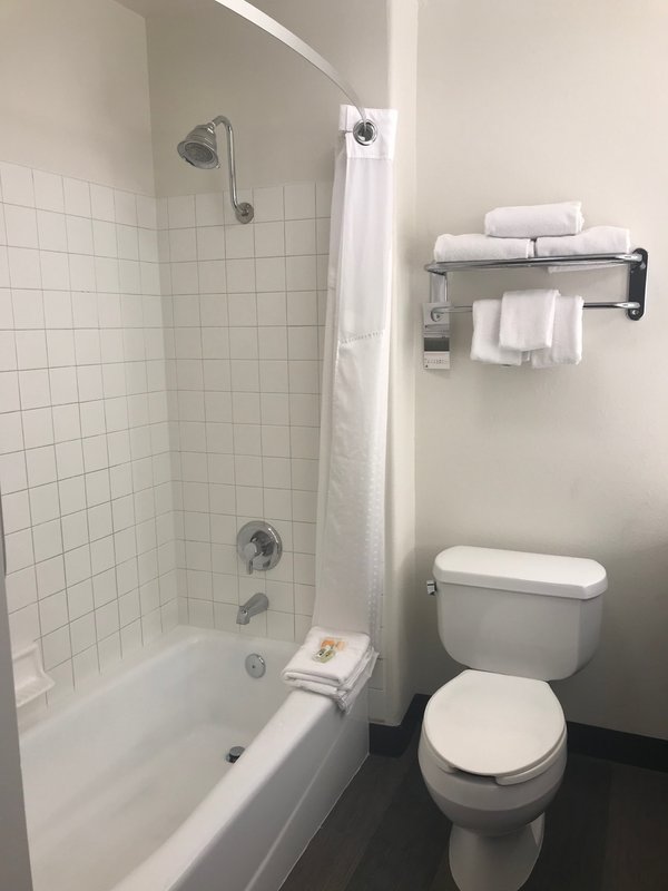 HOLIDAY INN SELMA SWAN COURT