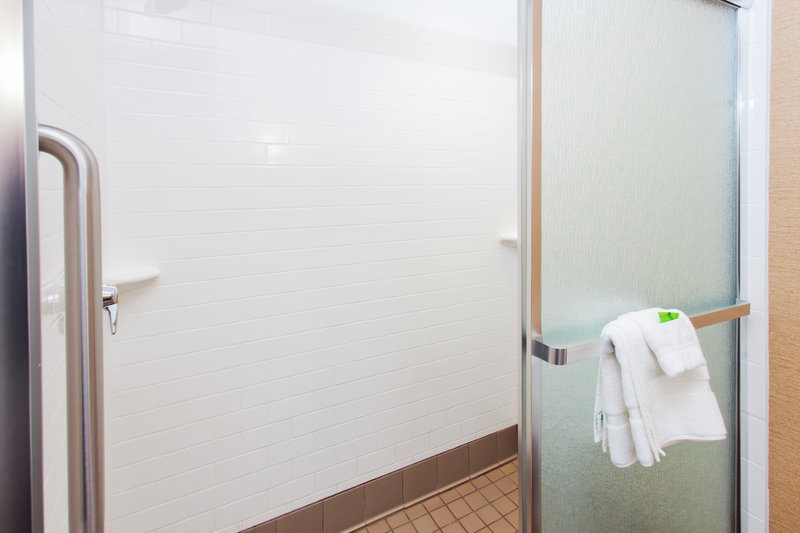 Holiday Inn Express Hotel & Suites JACKSON NORTHEAST