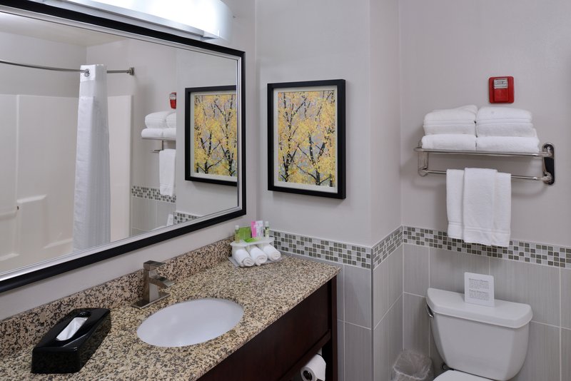 HOLIDAY INN EXP STE NEW BERLIN