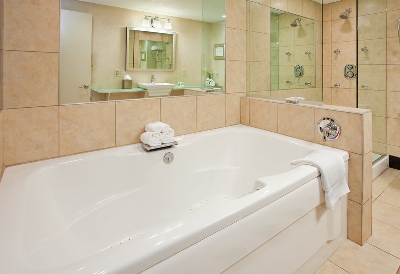HOLIDAY INN MANHATTAN CAMPUS