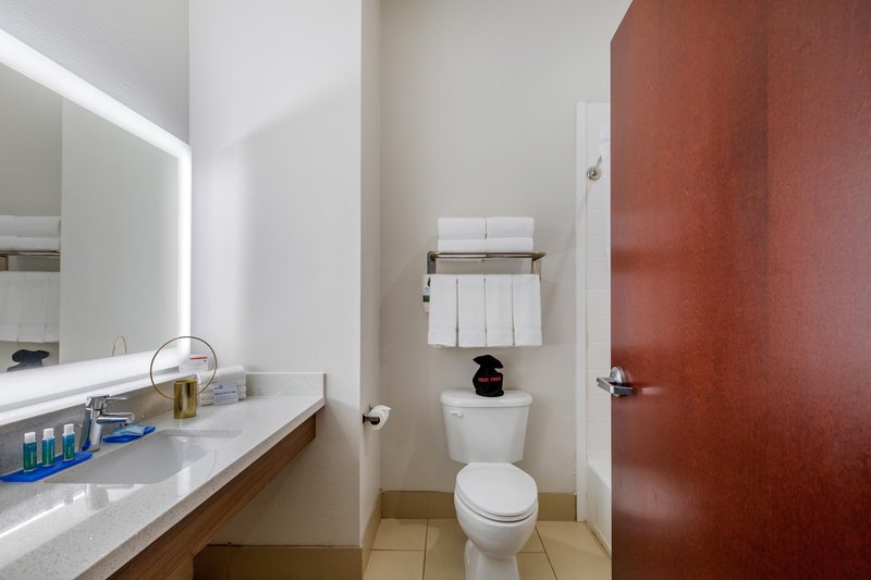 HOLIDAY INN EXP STES HOU-ALVIN