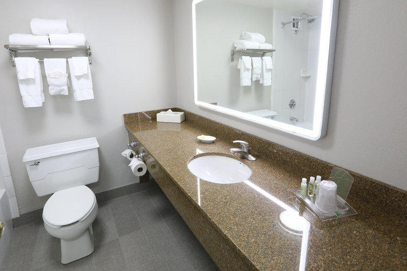 HOLIDAY INN O HARE AREA