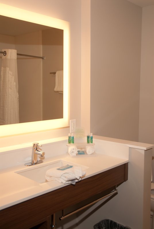 Holiday Inn Express and Suites Decatur