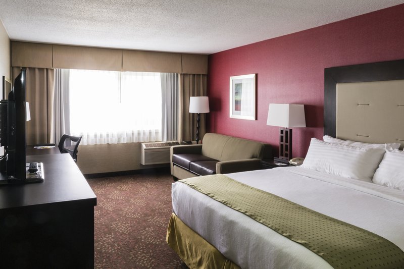 HOLIDAY INN BIG RAPIDS