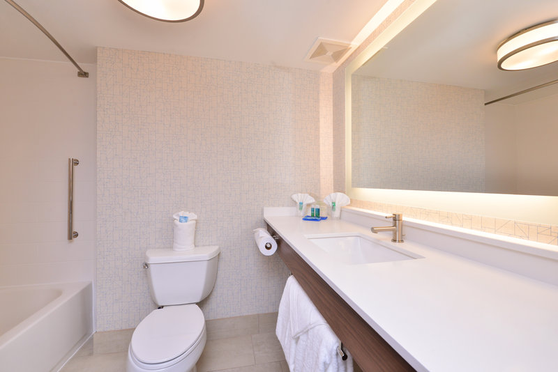 Holiday Inn Express and Suites Indianapolis Dtn-Conv Ctr Area