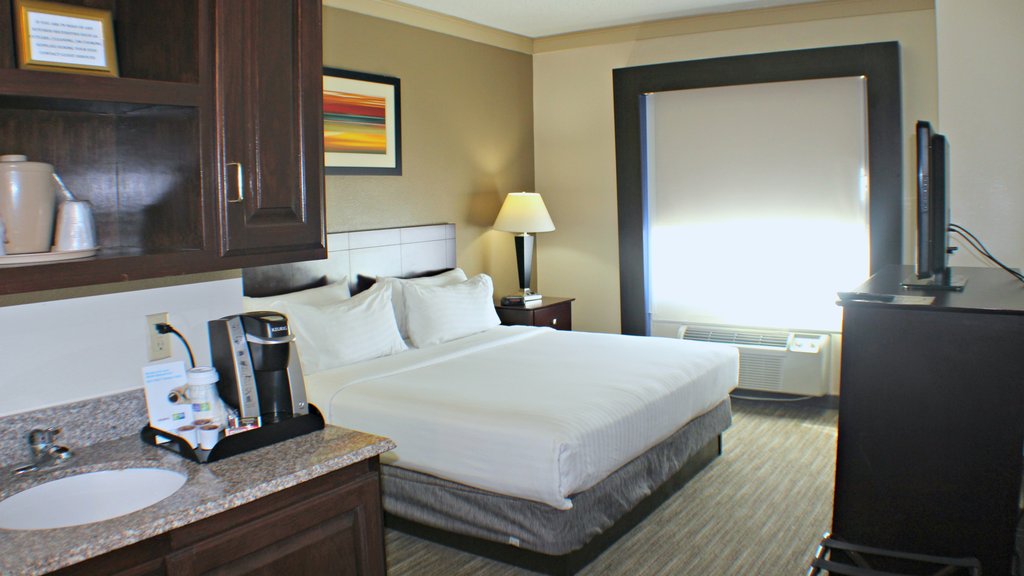 Holiday Inn Express & Suites Plainview, an IHG Hotel Room Type - 1 King Standard