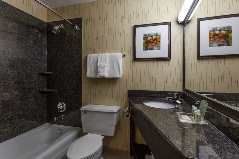 Holiday Inn CHICAGO-EVANSTON,IL