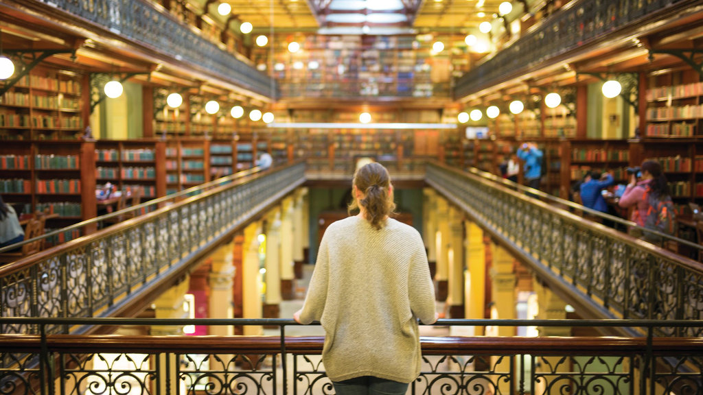 Explore Adelaide’s key attractions using the ‘free tram’ zone