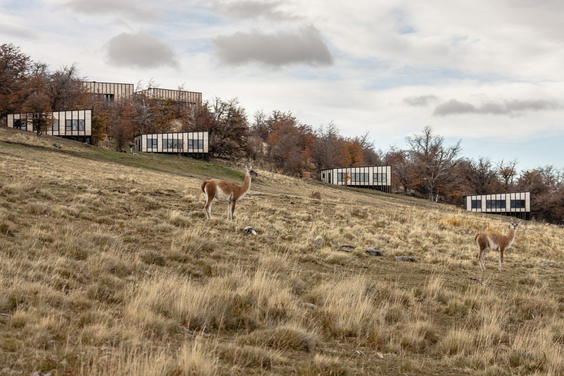 Awasi Patagonia Hotel