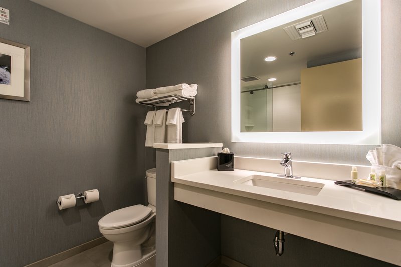 Holiday Inn Hotel and Suites Chattanooga Downtown
