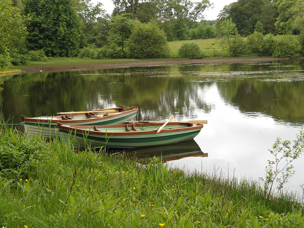 Ballyfin Demesne