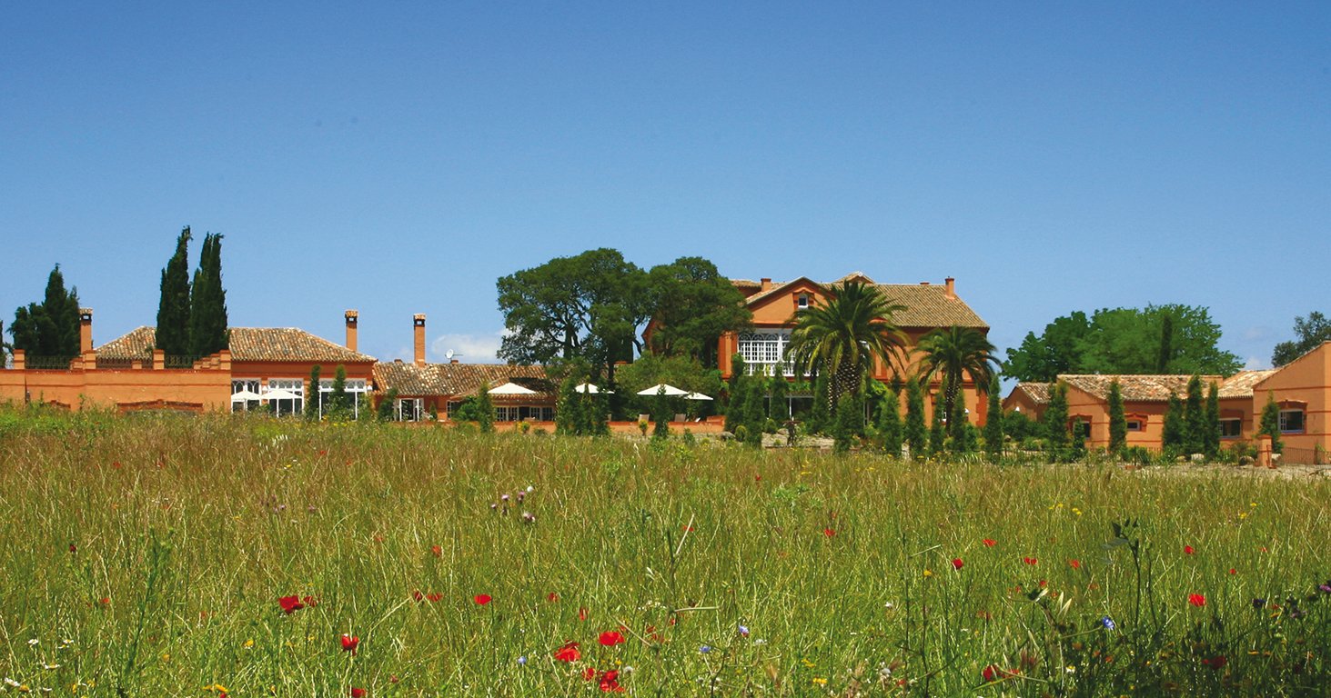 Hotel Valdepalacios