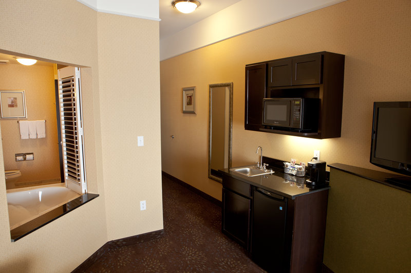 Holiday Inn Express Hotel & Suites Lansing-Dimondale