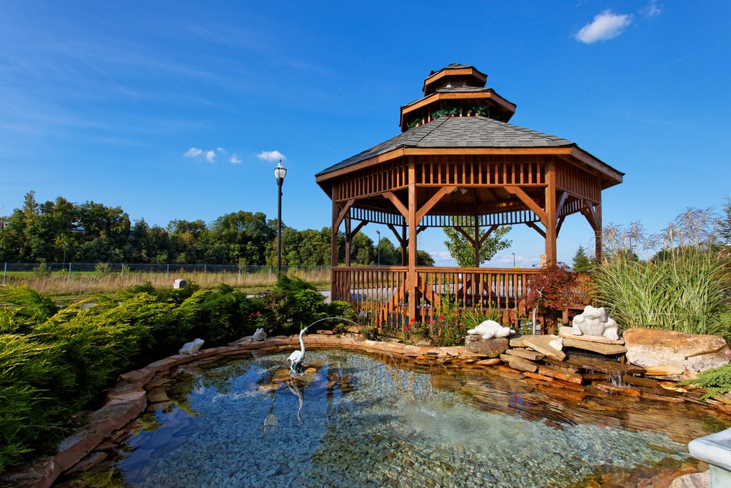 Gazebo and Pond