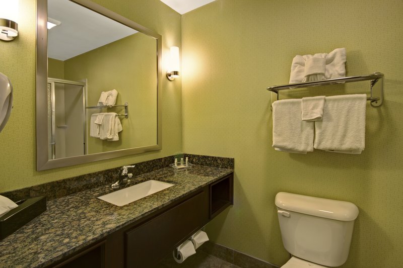 HOLIDAY INN CHRISTIANSBURG