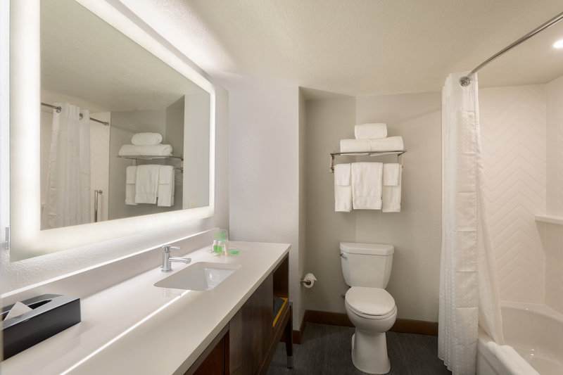 Holiday Inn Orlando SW – Celebration Area