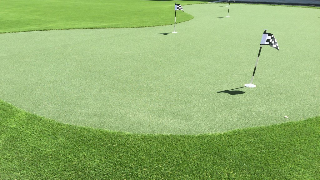 Practice your putting at our courtyard green