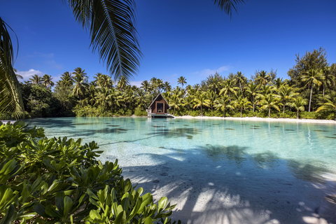 Say Yes with your loved one at our Chapel facing the Mt Otemanu