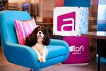 Aloft by Marriott Miami Dadeland