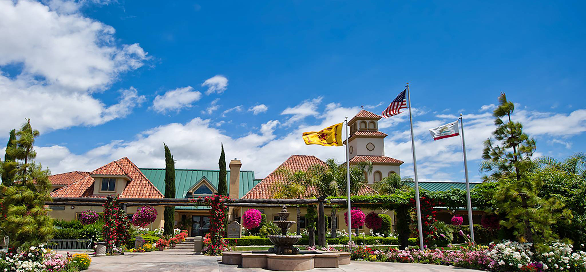 Temecula Acompanantes