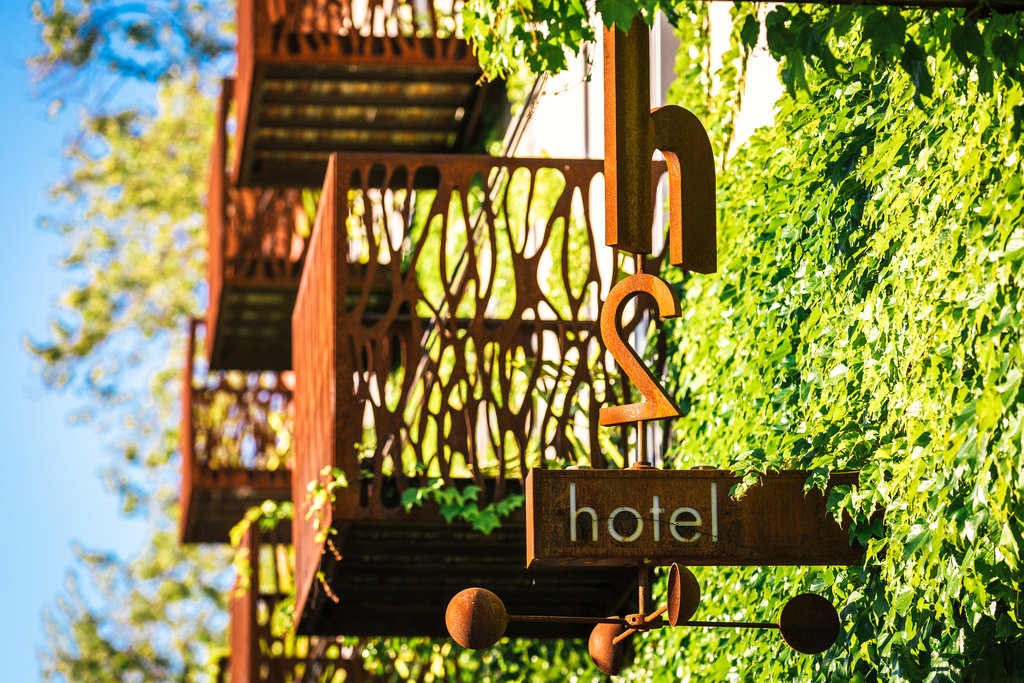 Guest photo