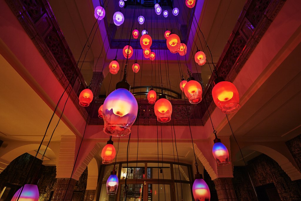 Guest photo