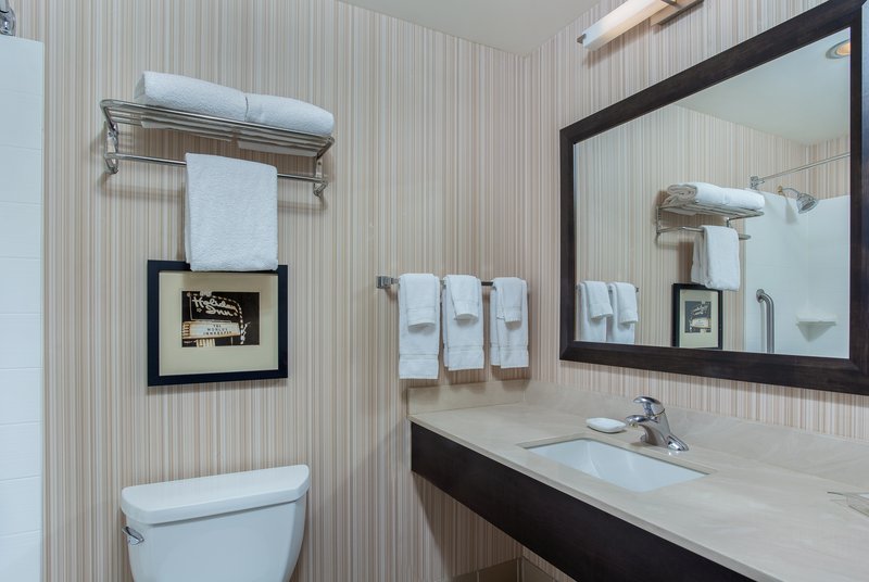 Holiday Inn Louisville Airport Fair & Expo