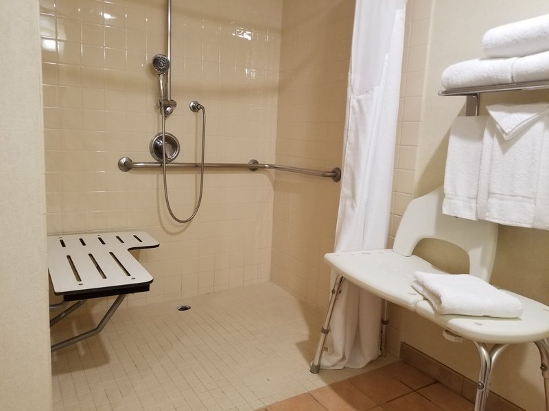 Holiday Inn Anaheim Adj Disney