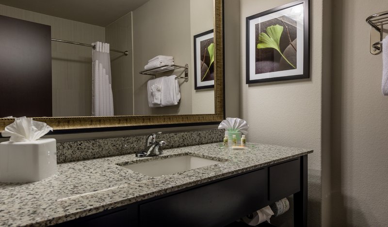 Holiday Inn Austin Airport