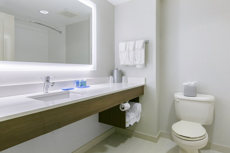 Holiday Inn Express and Suites Mount Arlington-Rockaway Area