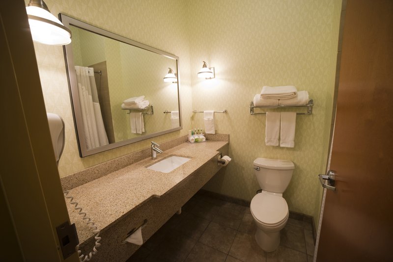 HOLIDAY INN EXPRESS LITHONIA