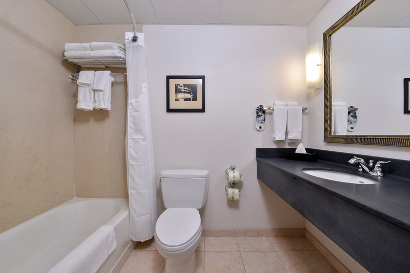 HOLIDAY INN HTL STES AMERICAN