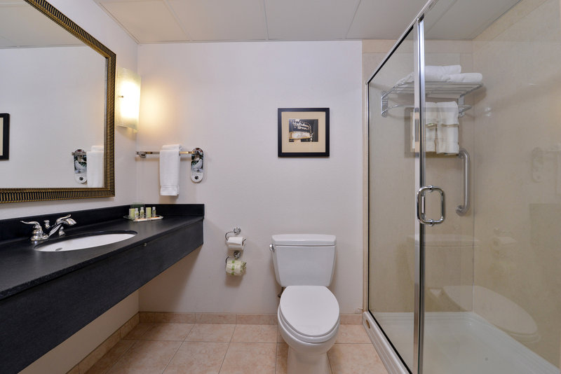 HOLIDAY INN HTL STES AMERICAN