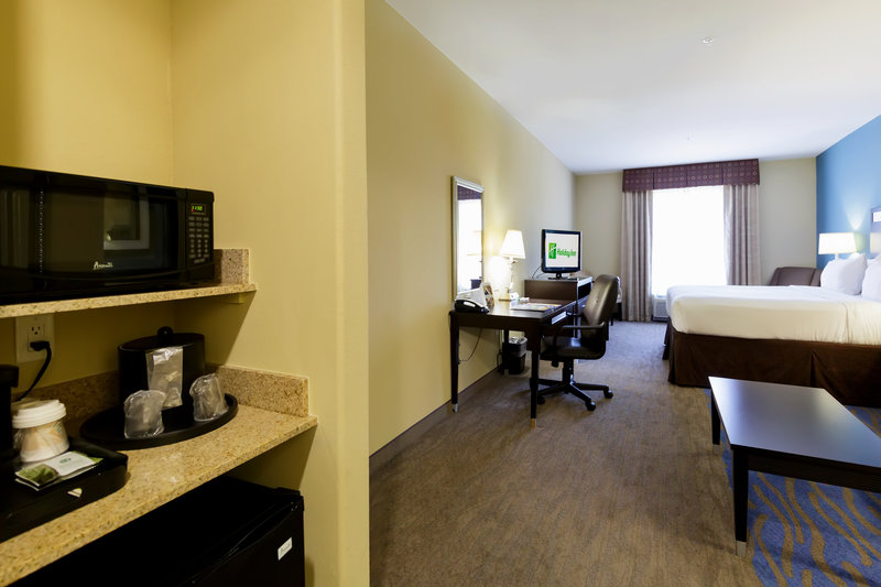 HOLIDAY INN HOUSTON WEBSTER