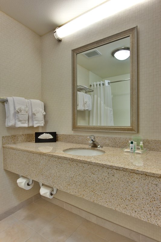 HOLIDAY INN HTL STES NORTH