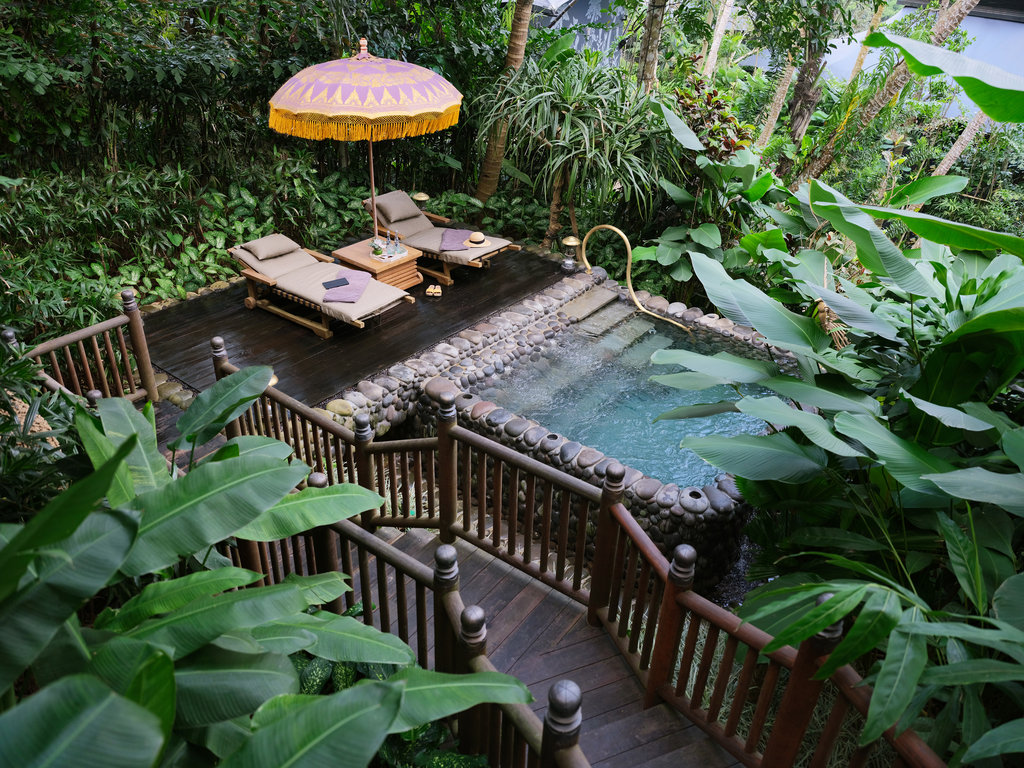 Guest photo