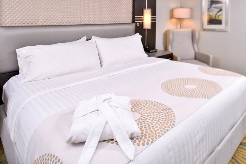 HOLIDAY INN SELECT RICHARDSON
