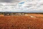 Auberge du Vin, a Tribute Portfolio Hotel, Tupungato