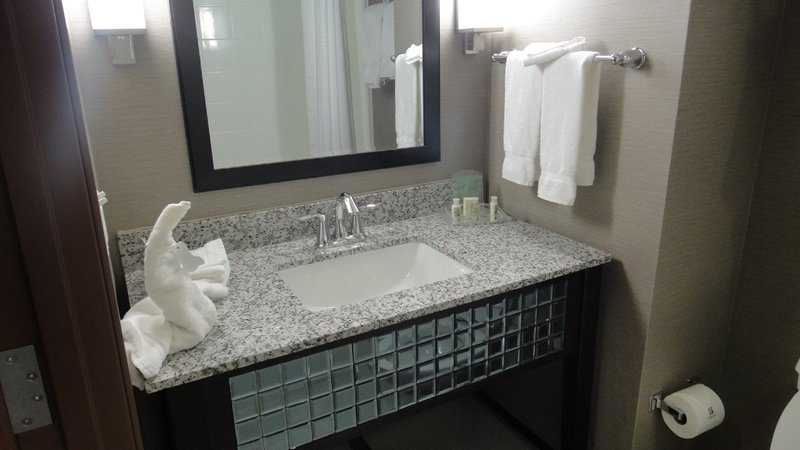 HOLIDAY INN HOTEL & SUITES SAN ANTONIO NORTHWEST