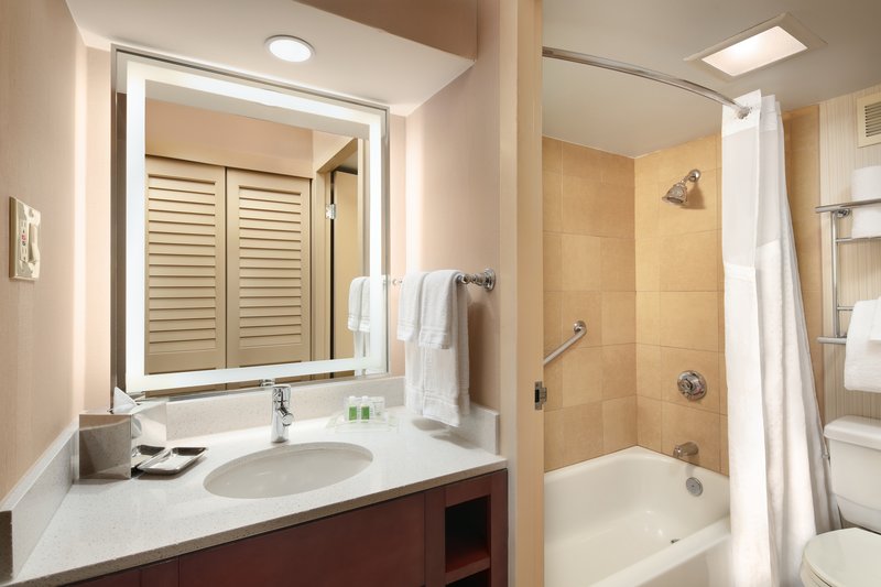 Holiday Inn Austin Town Lake
