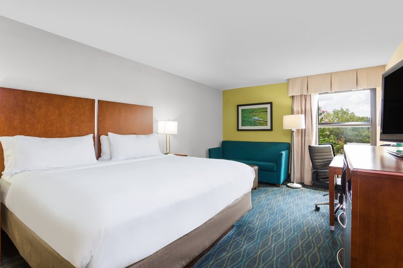 KING ROOM WITH A SLEEPER SOFA NONSMOKING